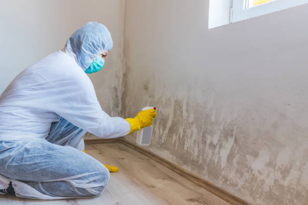 Licensed Commercial Mold Remediation service in Inver Grove Heights, MN - WQB Mold Removal