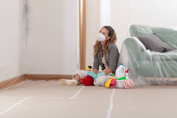 Reliable Commercial Mold Remediation contractor in Inver Grove Heights, MN by WQB Mold Removal